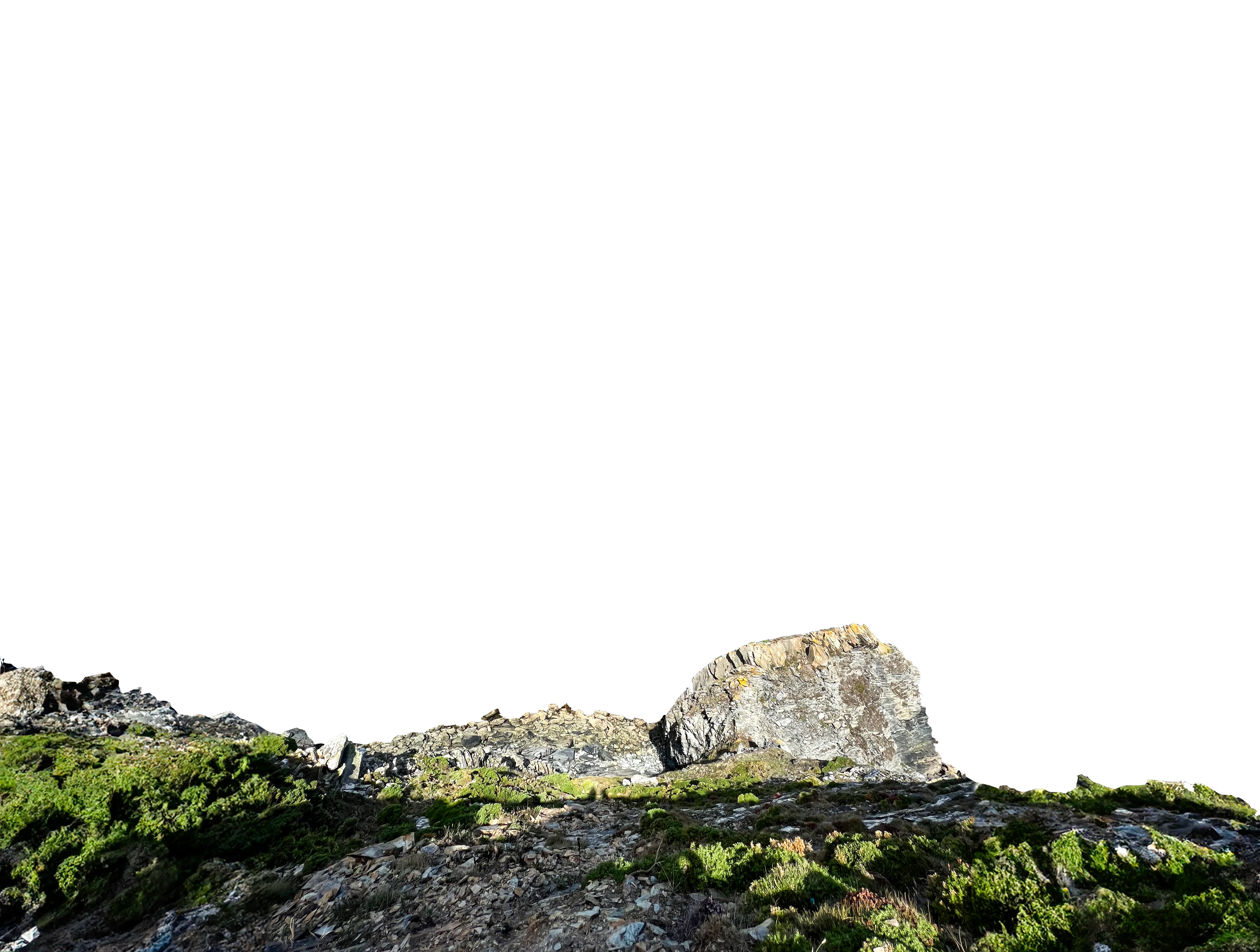 rocks